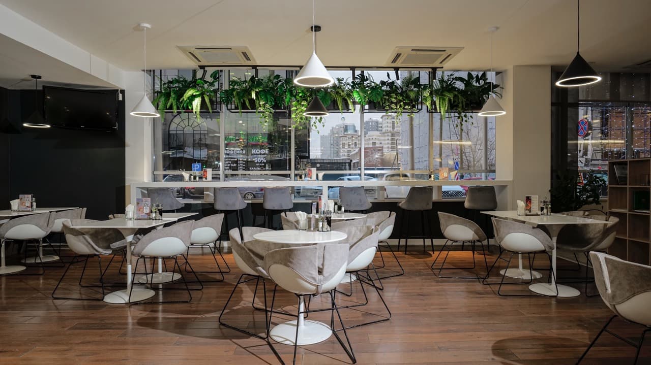 Olive lounge